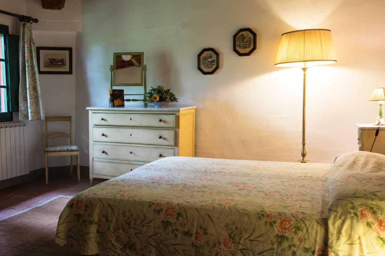 Tenuta Di Ghizzano Resort 외부 사진