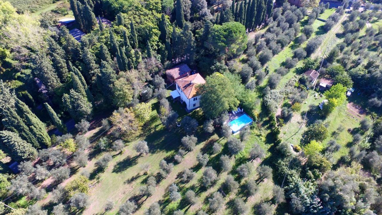 Tenuta Di Ghizzano Resort 외부 사진